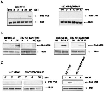 FIG. 6