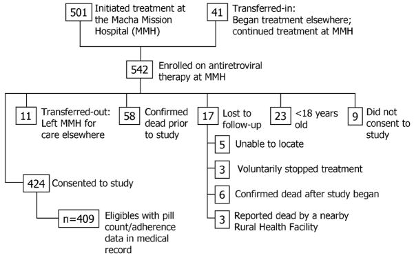 FIGURE 1