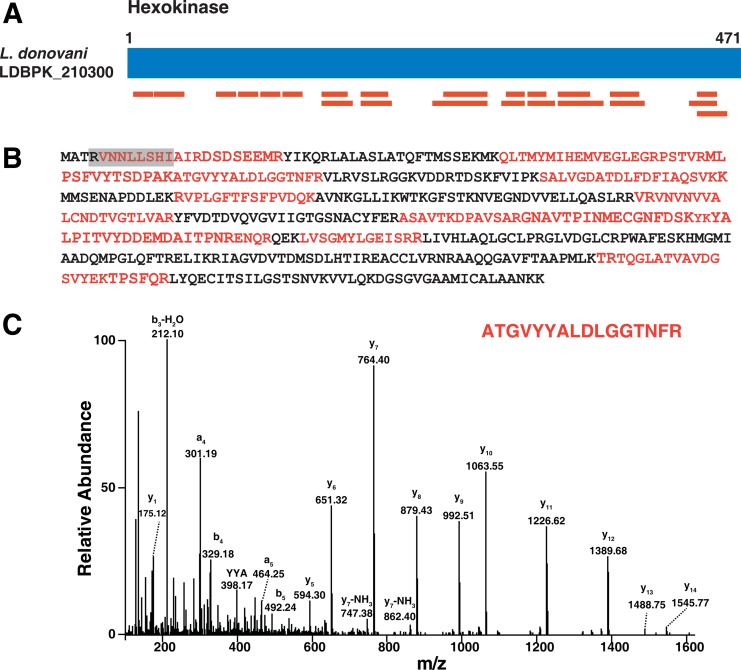 FIG. 4.