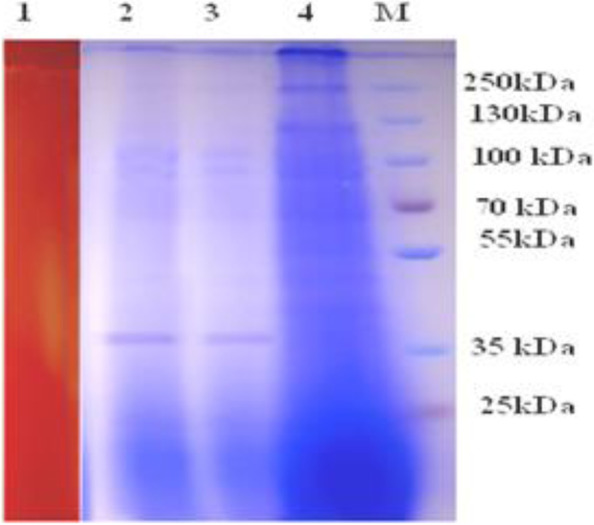 Fig. 15