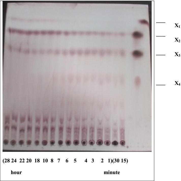 Fig. 12