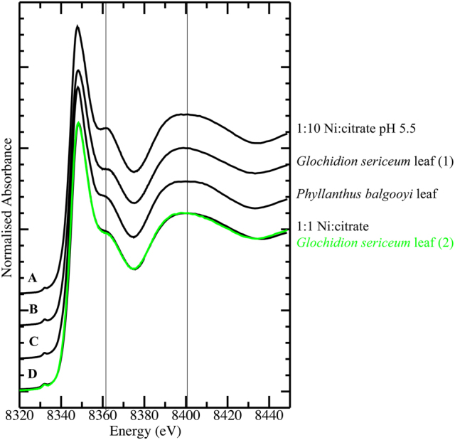 Figure 9