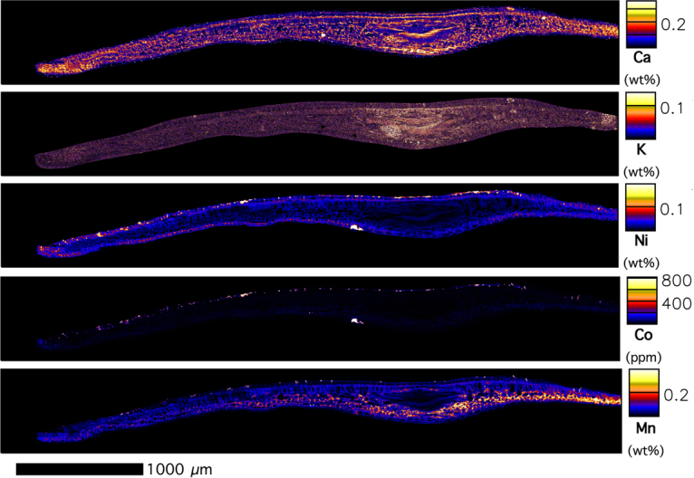 Figure 6