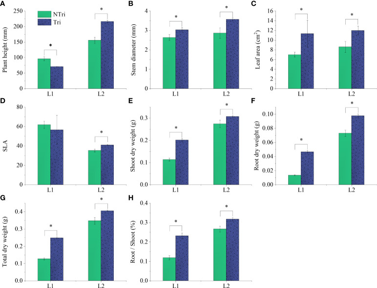 Figure 2