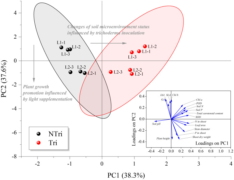 Figure 4