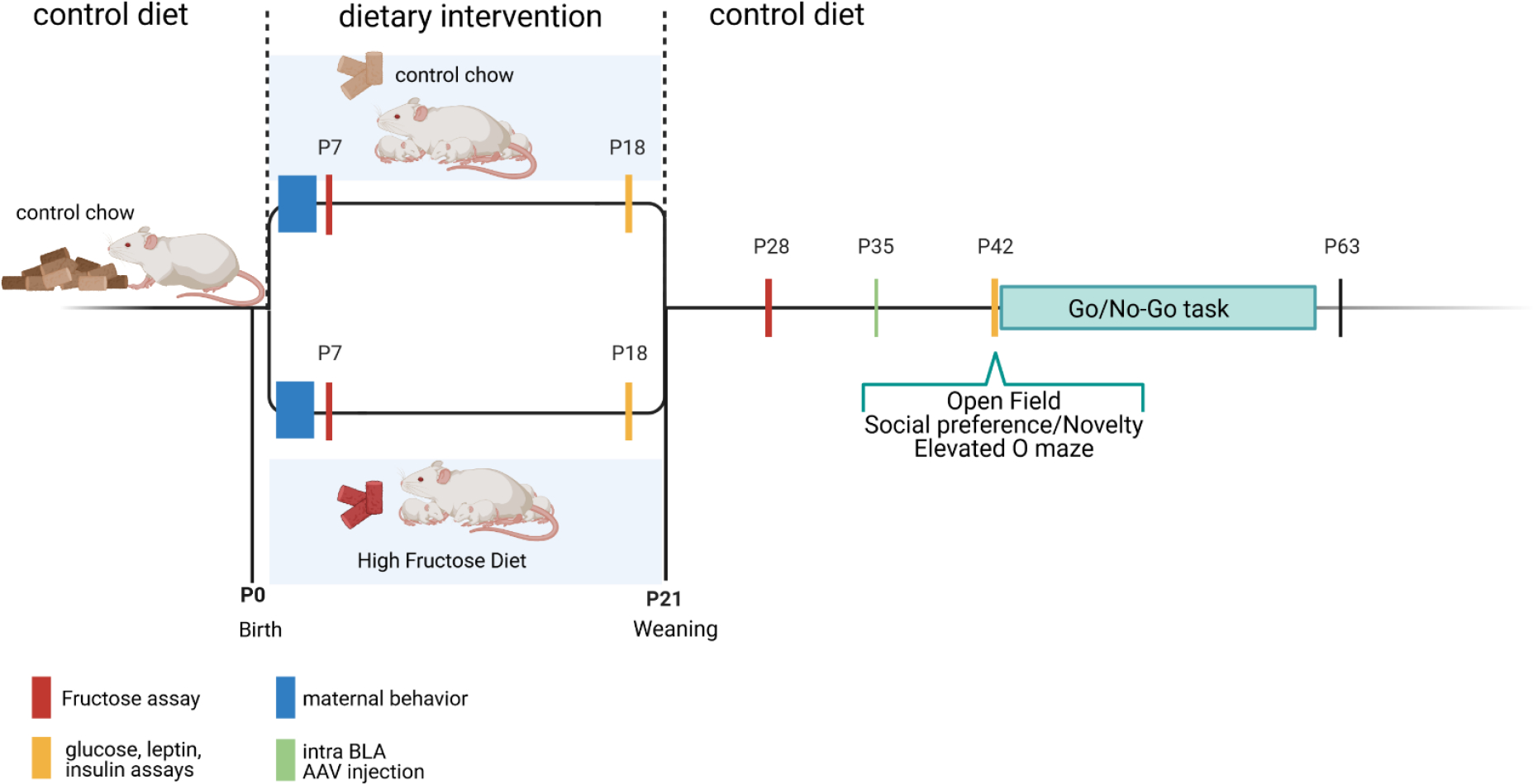 Figure 1: