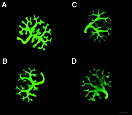 Figure 5.