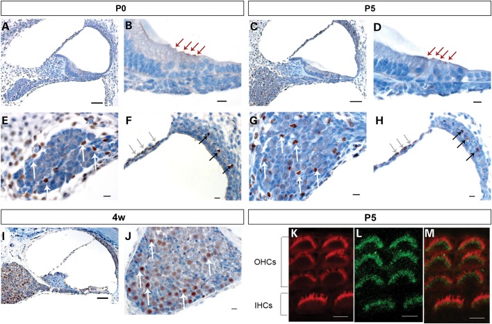 Figure 3.