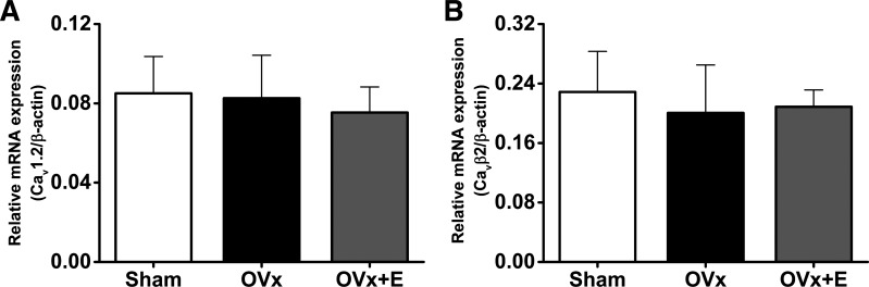 Fig. 10.