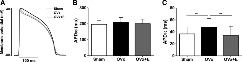 Fig. 11.