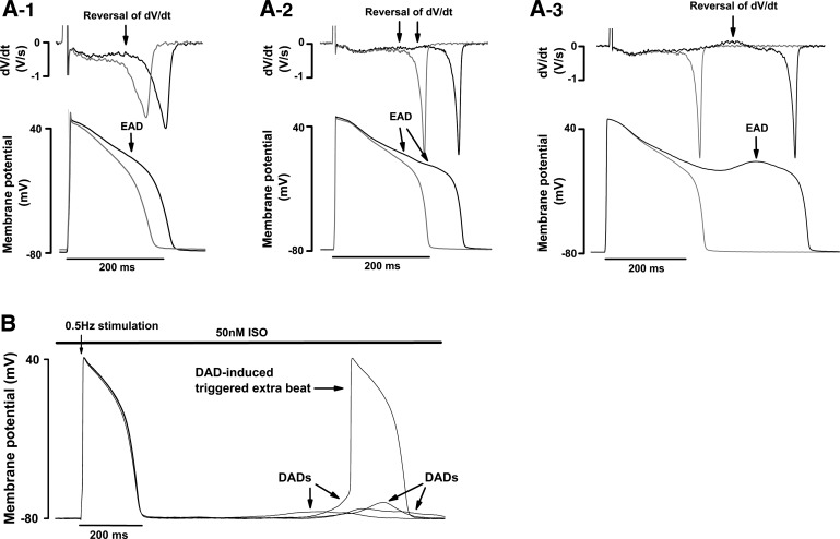 Fig. 12.