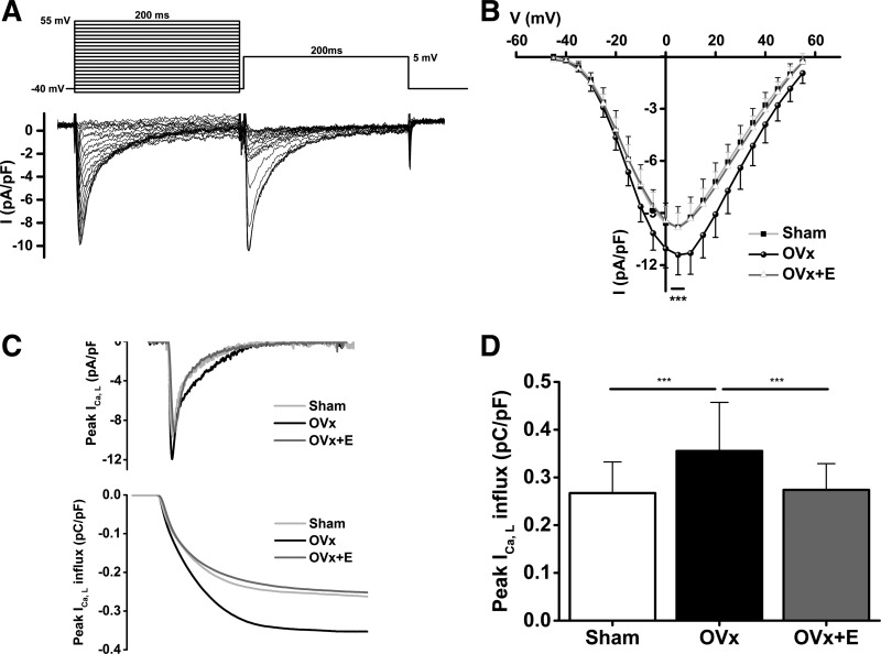 Fig. 8.