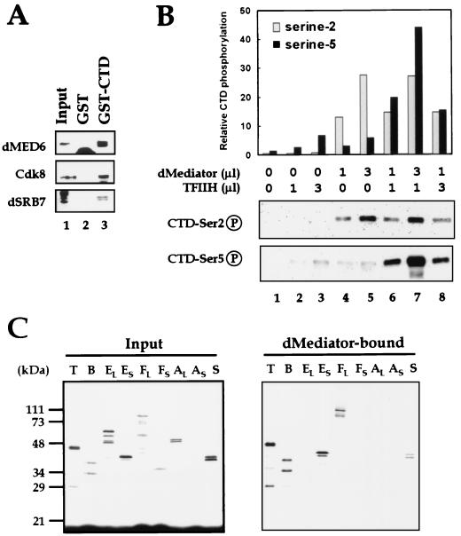 FIG. 6