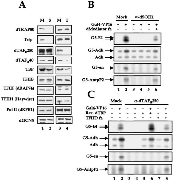 FIG. 7