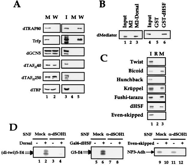 FIG. 5