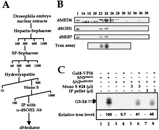 FIG. 3