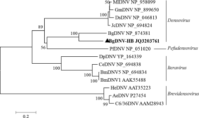 Fig 6