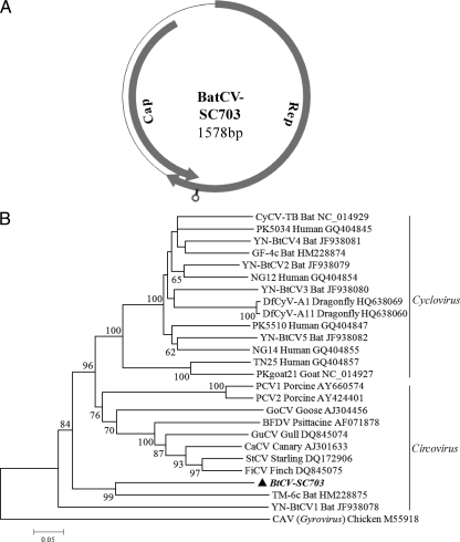 Fig 4