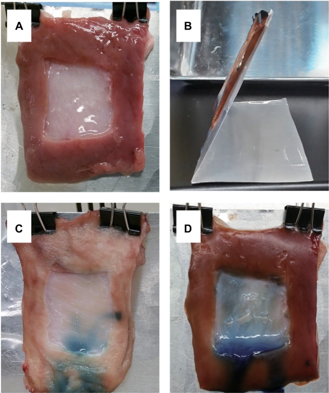 Figure 7