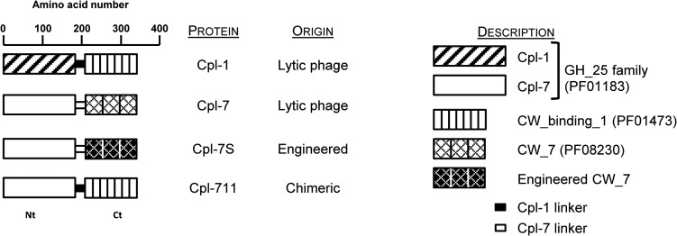 FIG 1