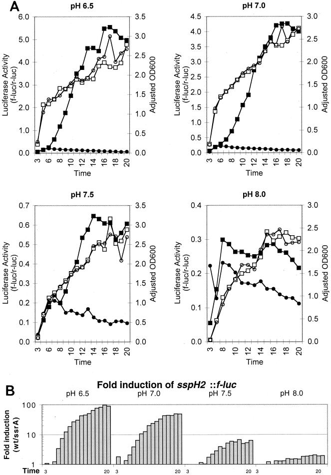 FIG. 3.