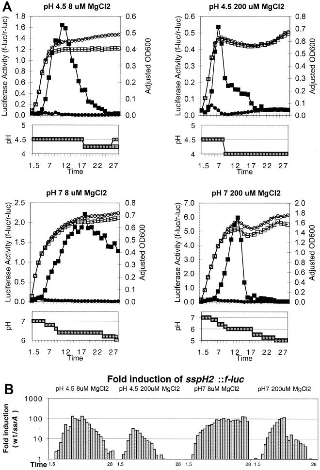 FIG. 1.