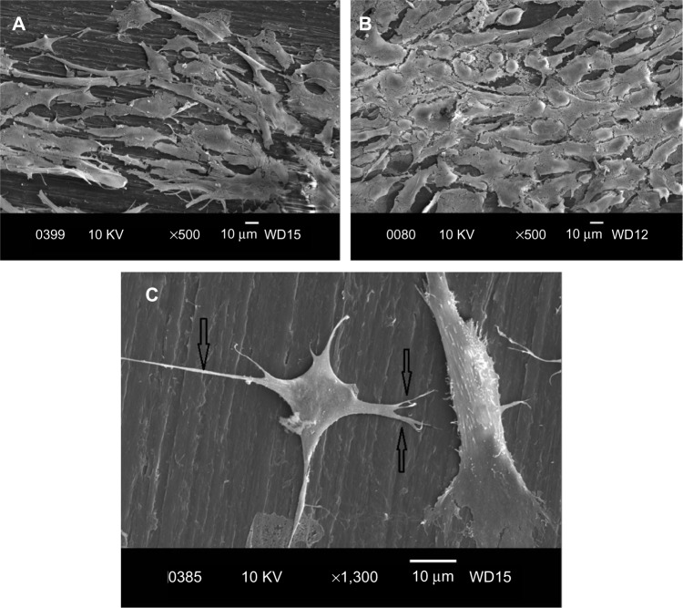 Figure 14