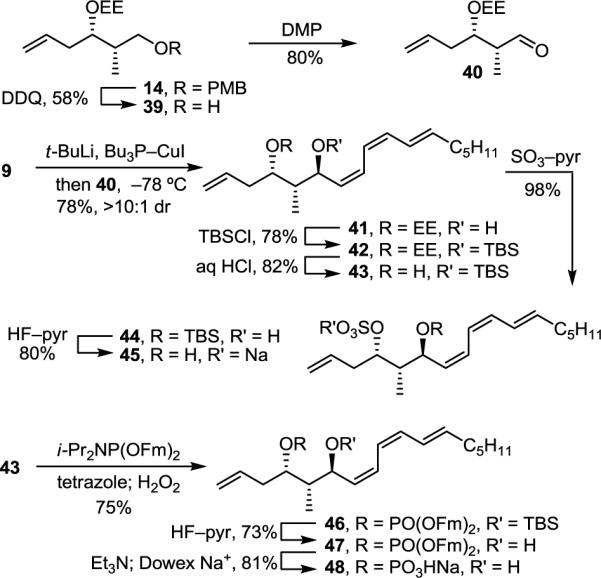 SCHEME 7