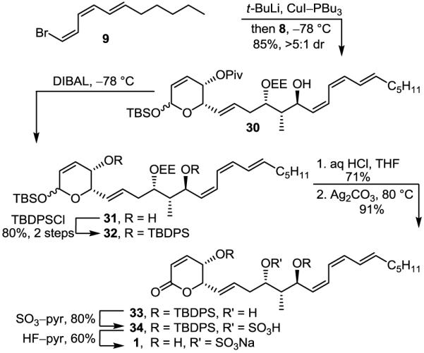 SCHEME 5