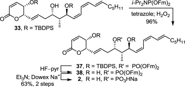 SCHEME 6