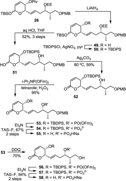 SCHEME 8