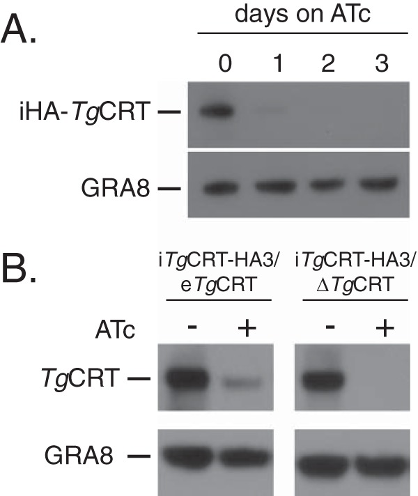 FIG 5