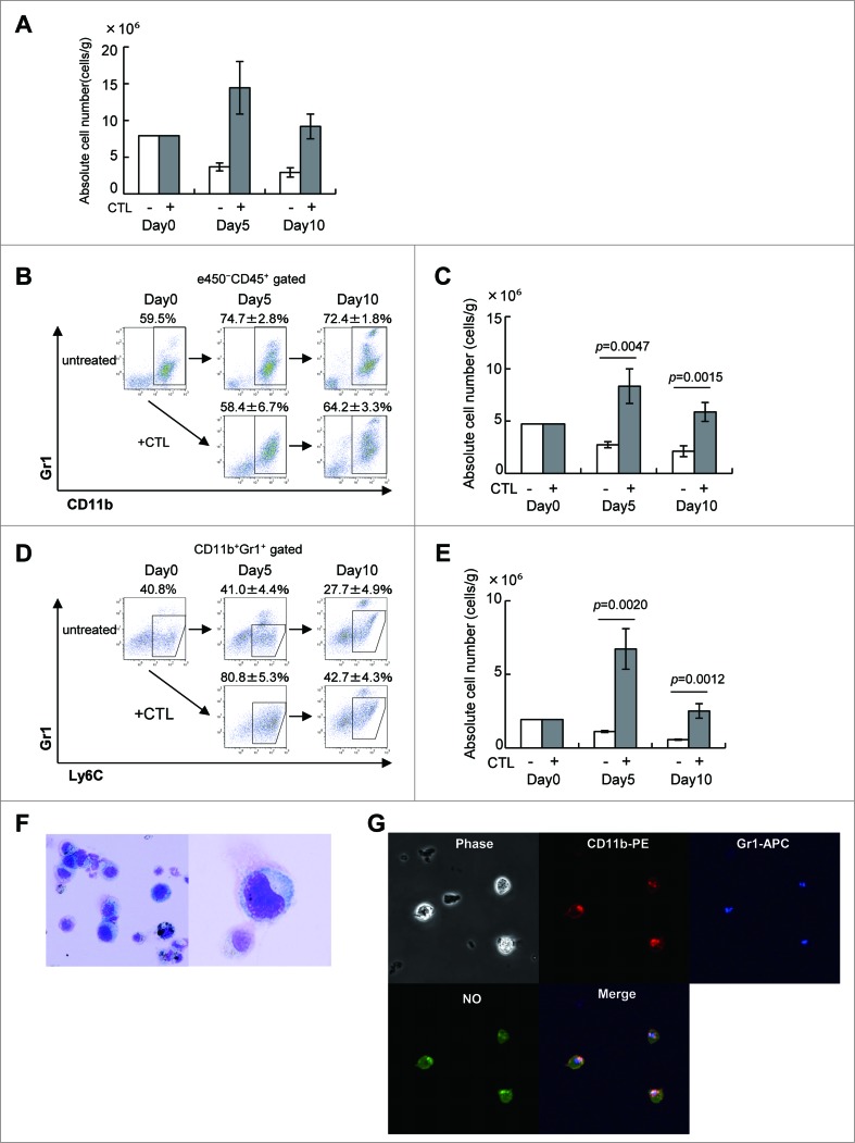 Figure 2 (See previous page).