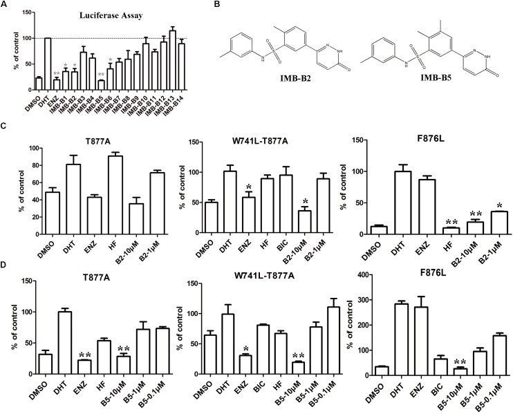 FIGURE 6