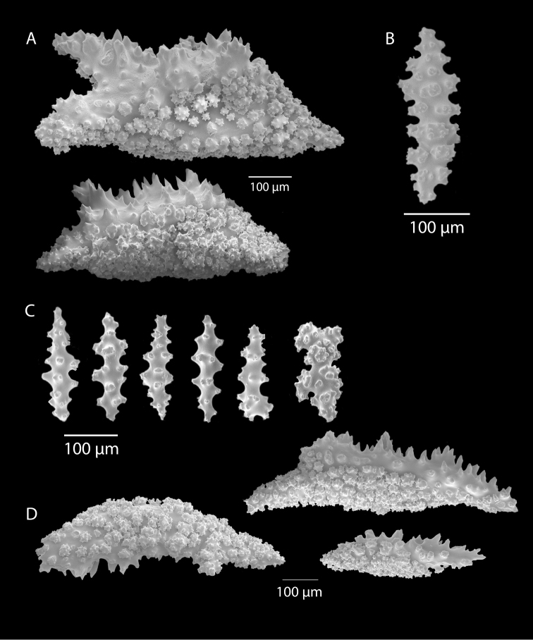 Figure 45.