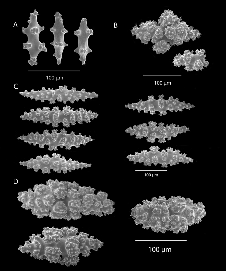 Figure 27.