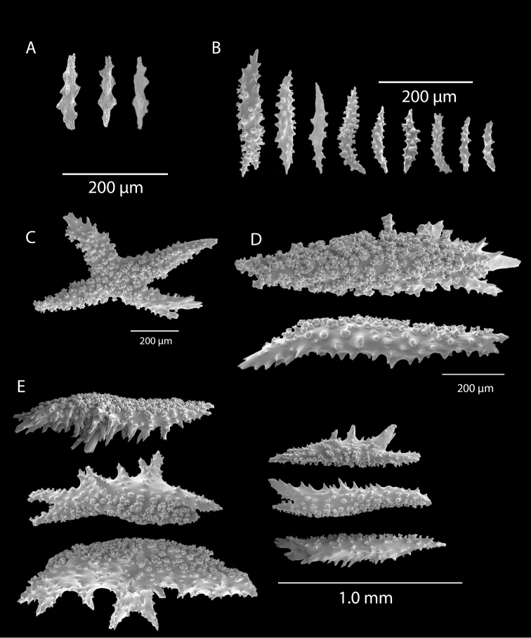 Figure 48.