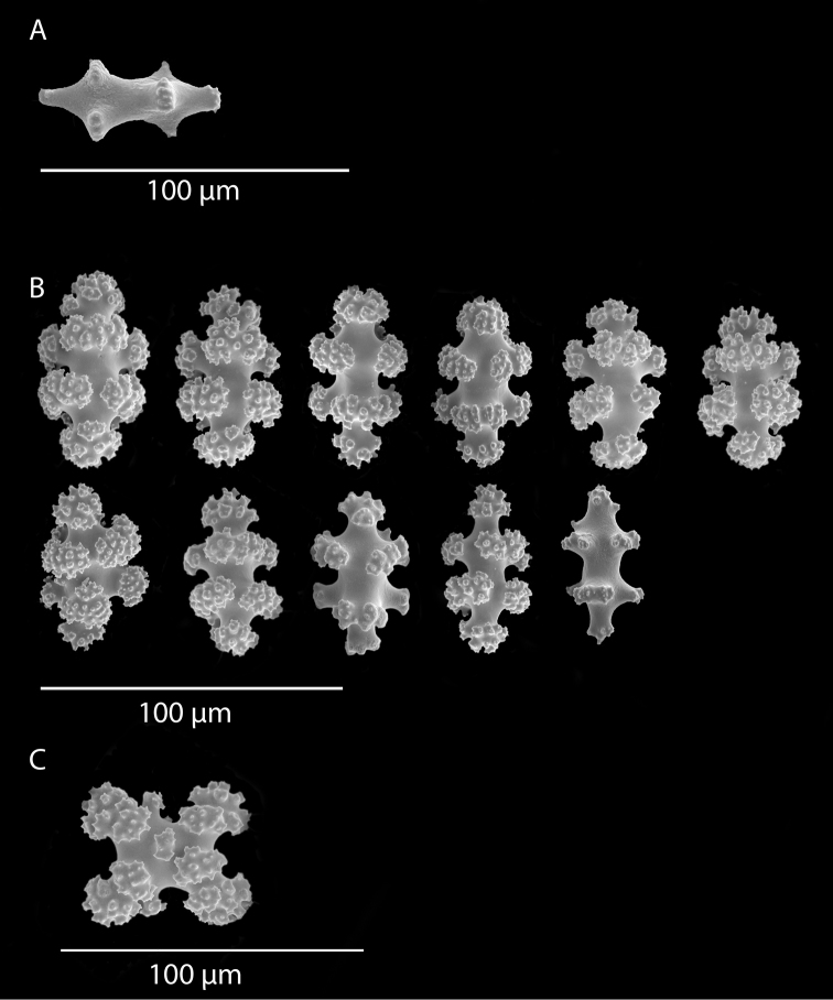 Figure 24.