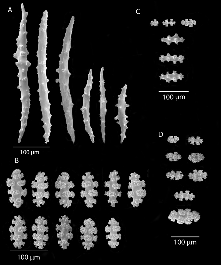 Figure 18.