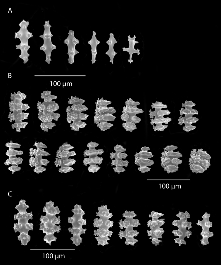 Figure 13.