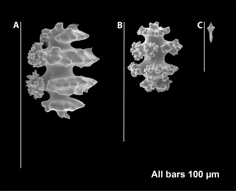 Figure 7.