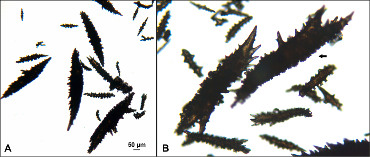 Figure 47.