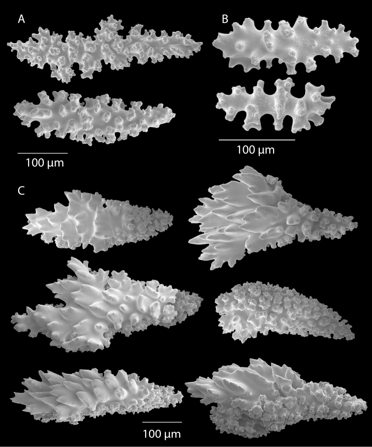 Figure 41.