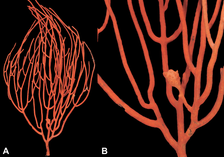 Figure 14.