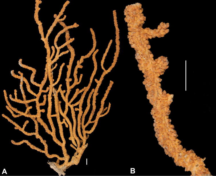 Figure 39.