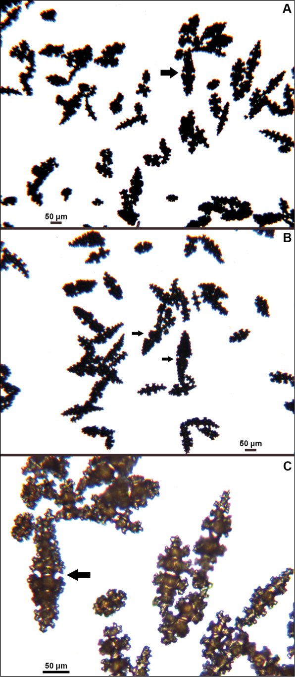 Figure 34.