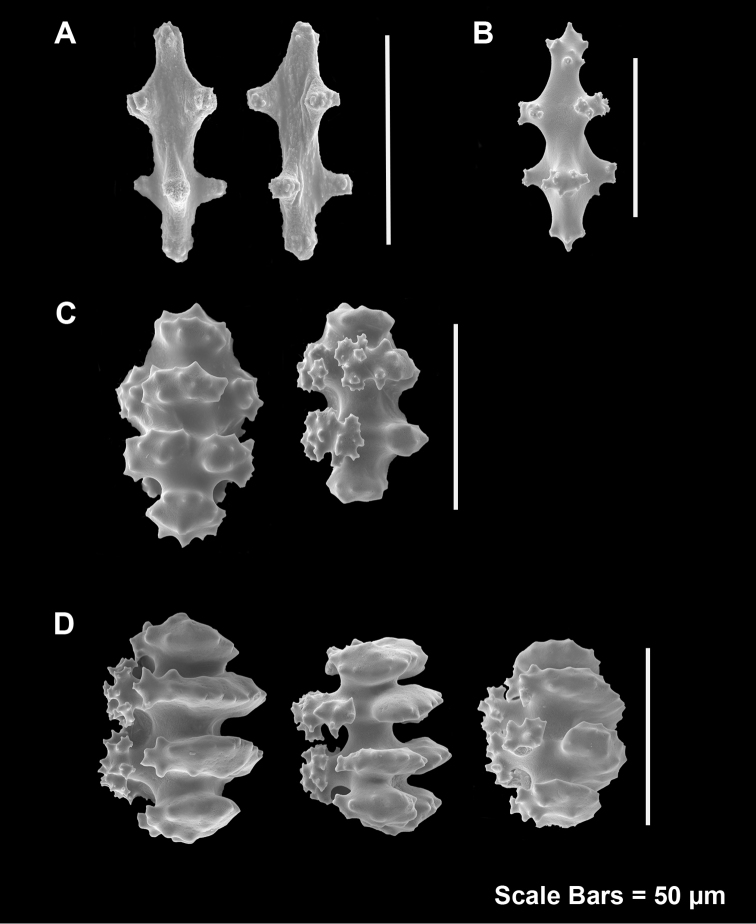 Figure 10.