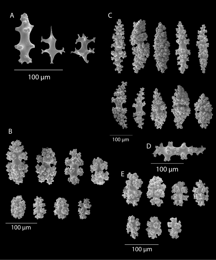 Figure 35.