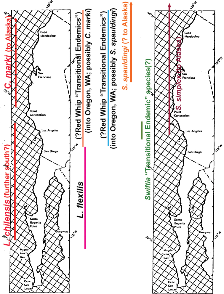 Map A1.