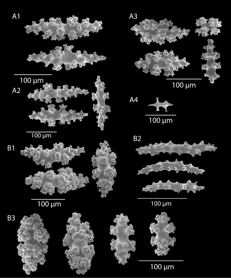 Figure 37.